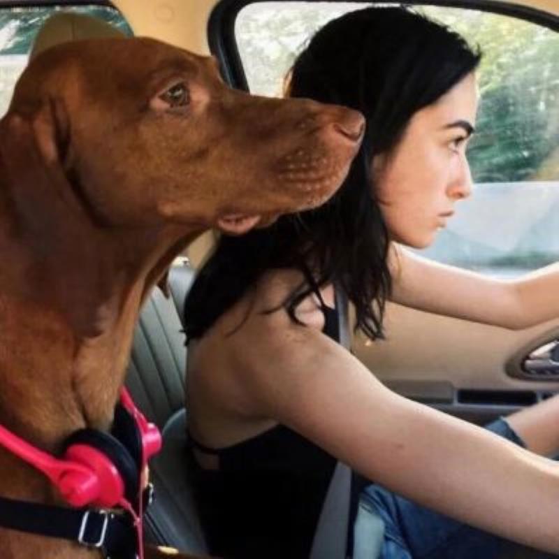 惠州旅游私人導(dǎo)游影視經(jīng)紀(jì)人受璐佩 惠州旅游私人導(dǎo)游影視經(jīng)紀(jì)人受璐佩