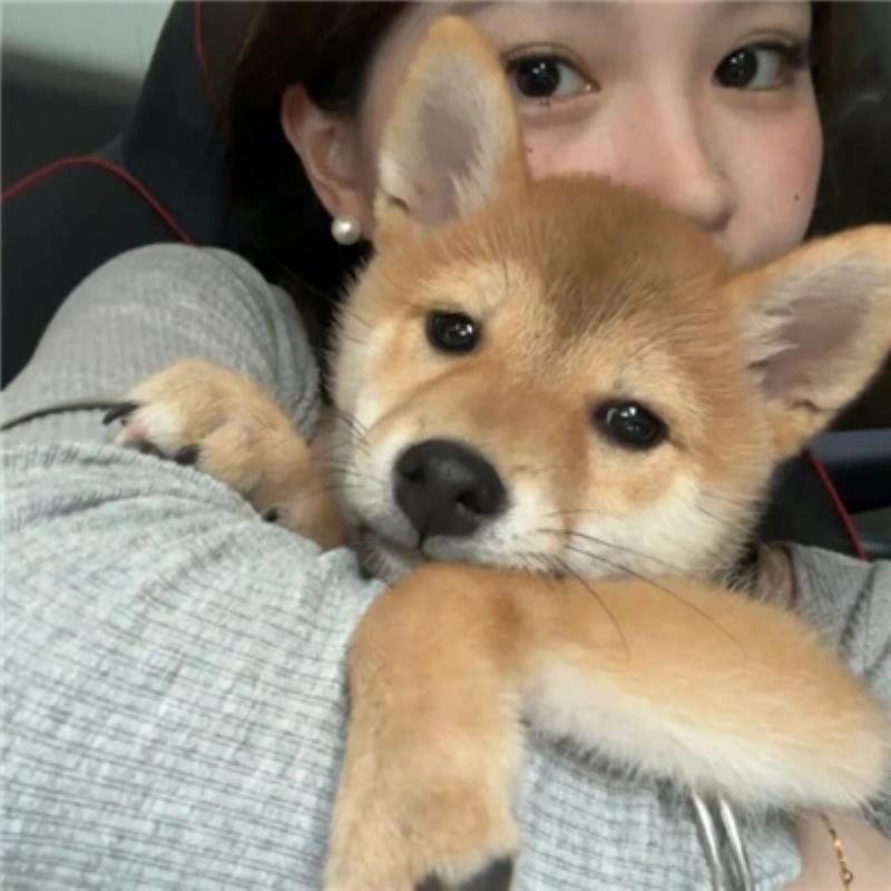 哈爾濱導游司機谷梁安亦 哈爾濱導游司機谷梁安亦