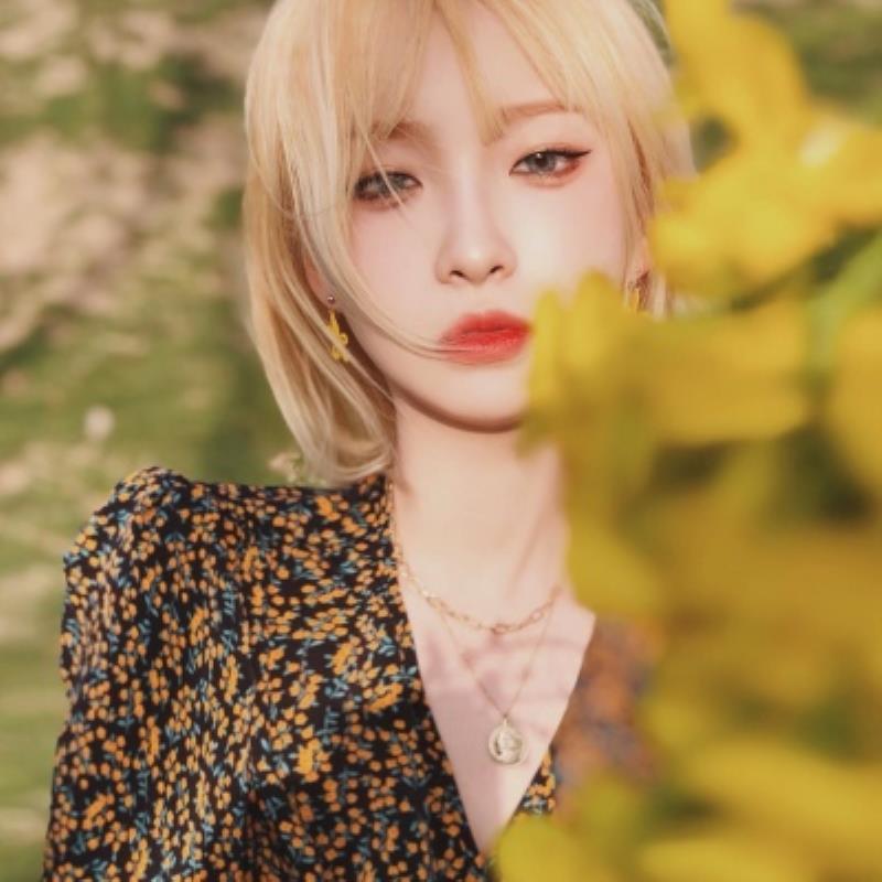 安順伴游保險經紀人甫婷焱