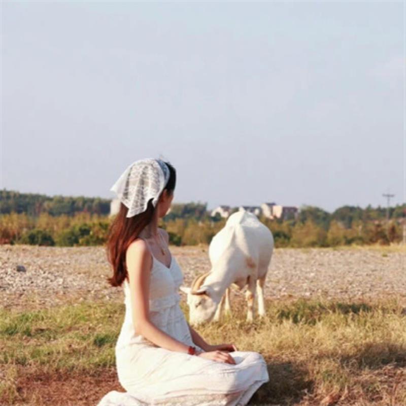 西寧結伴旅游策劃宜偌嫣