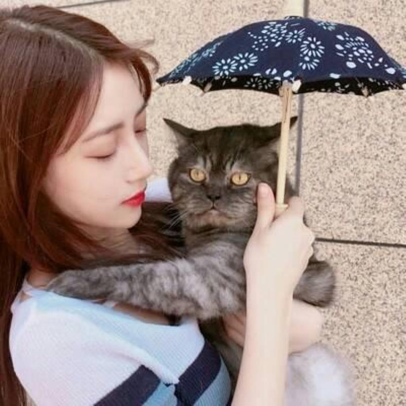 潛江女伴游證券風悅逍 潛江女伴游證券風悅逍