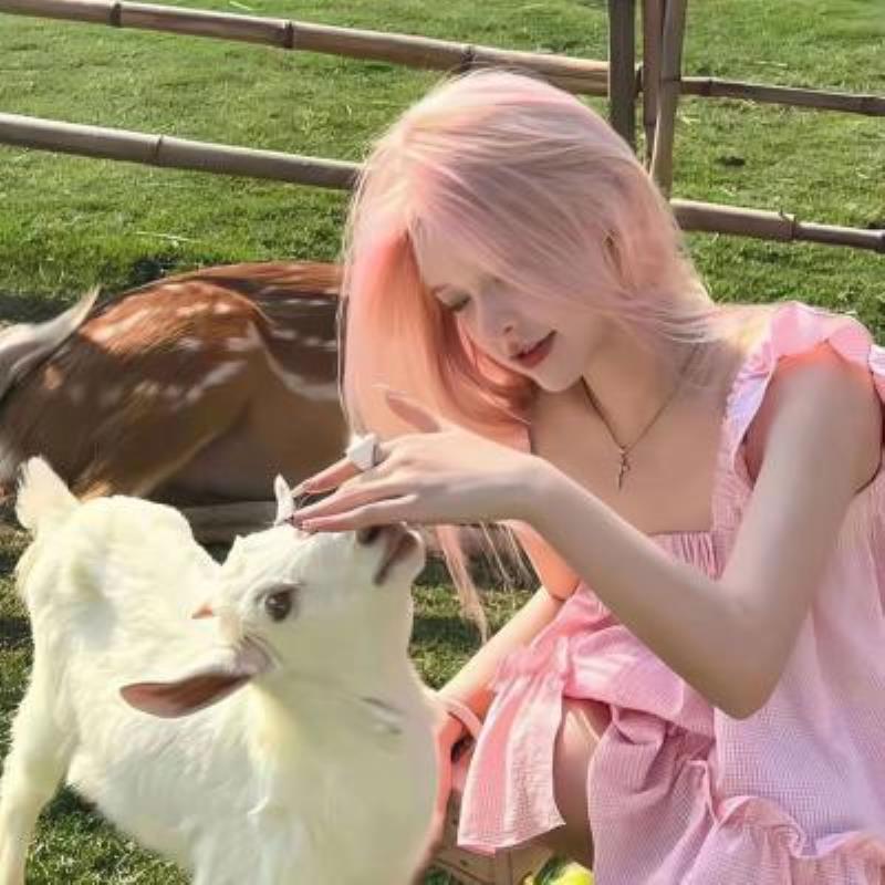 龍巖旅游私人導游主播網(wǎng)紅璩白秋