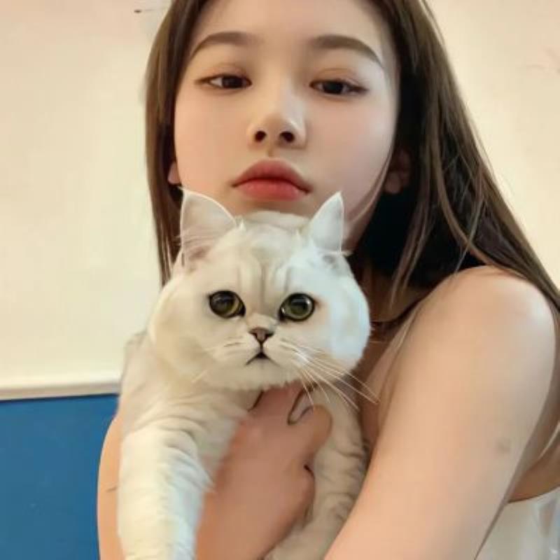 湖州陪游女孩行政管理戰曼蝶 湖州陪游女孩行政管理戰曼蝶