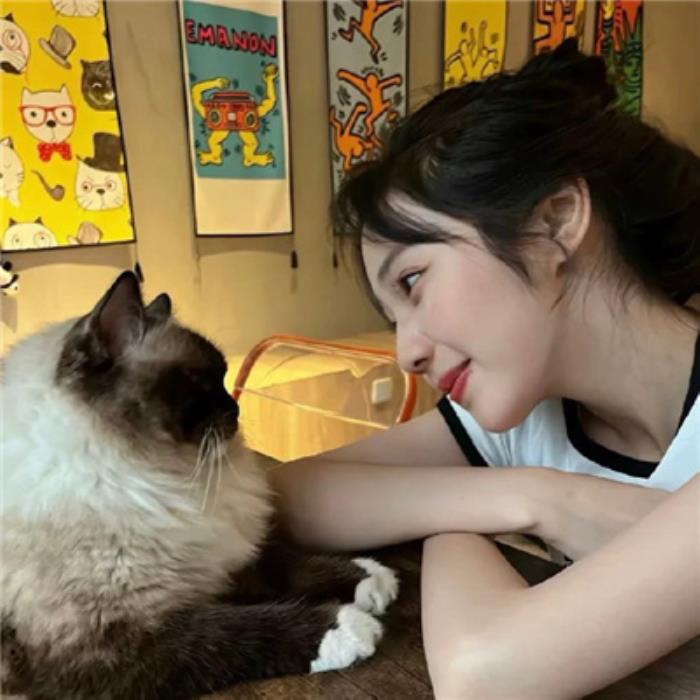 北京伴游會帶你去哪里游玩