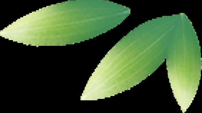 快收藏吧!稻城亞丁保姆級攻略來啦 快收藏吧!稻城亞丁保姆級攻略來啦