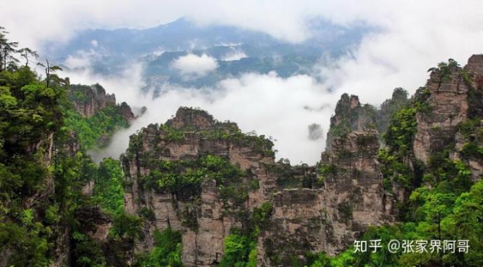 張家界旅游不請套路的實在私人導游的費用是多少合適? 張家界旅游不請套路的實在私人導游的費用是多少合適?