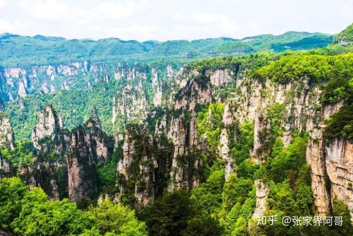 張家界旅游不請套路的實在私人導游的費用是多少合適? 張家界旅游不請套路的實在私人導游的費用是多少合適?