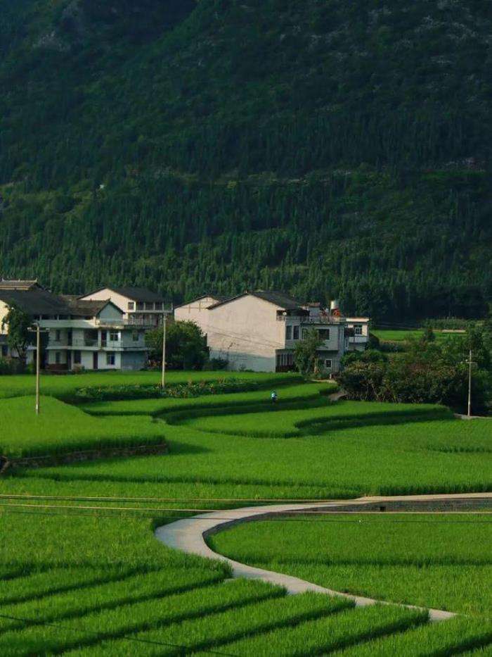 被封“中國最美”,全國唯一沒有平原的貴州省,每處山水都封神!