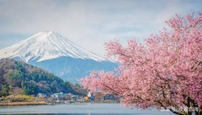 中國小伙在日本大賺特賺，感嘆日本伴游服務質