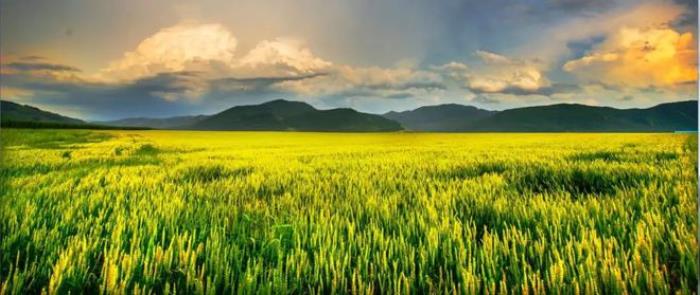 清明小長假,可以去這些旅游景點看看! 清明小長假,可以去這些旅游景點看看!