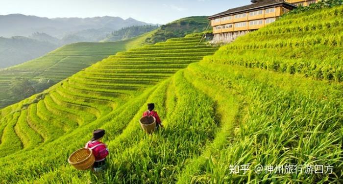 為你定制桂林伴游攻略路線 為你定制桂林伴游攻略路線