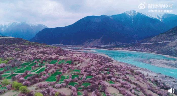 位列世界峽谷之首 春日乘熱氣球賞西藏雪山桃林! 位列世界峽谷之首 春日乘熱氣球賞西藏雪山桃林!