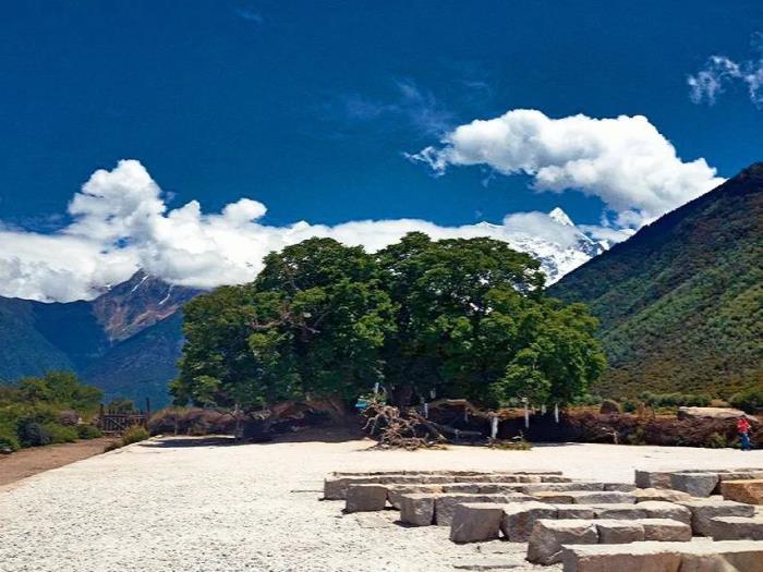 位列世界峽谷之首 春日乘熱氣球賞西藏雪山桃林! 位列世界峽谷之首 春日乘熱氣球賞西藏雪山桃林!