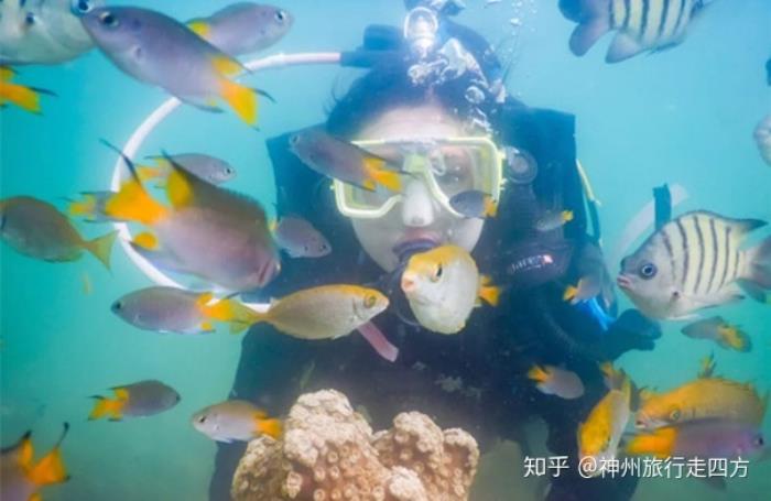 廈門口碑好的當地私人伴游,讓你的廈門旅游開心放心, 廈門口碑好的當地私人伴游,讓你的廈門旅游開心放心,