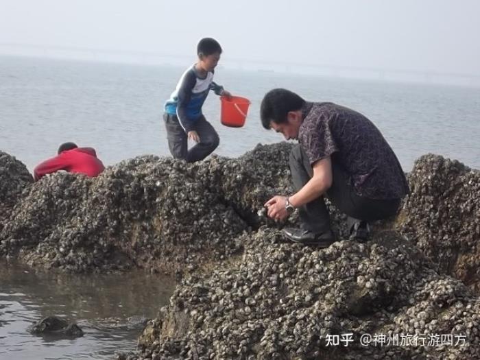 福建廈門伴游路線,廈門伴游必去景點大全,讓你的伴游輕松愉快! 福建廈門伴游路線,廈門伴游必去景點大全,讓你的伴游輕松愉快!