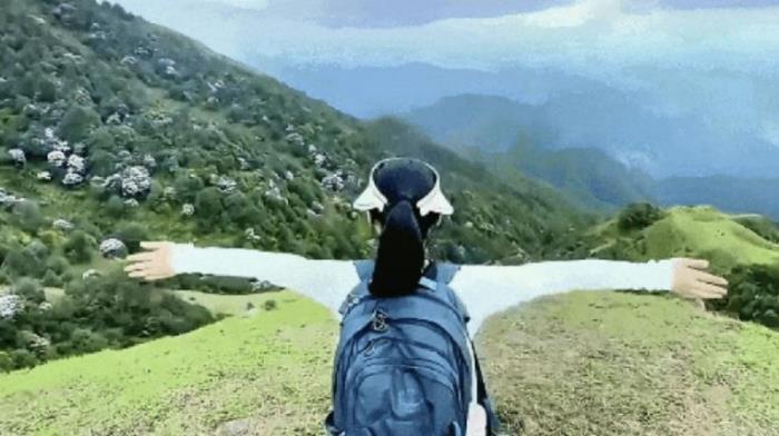 不到雞籠頂，枉為廣東人！原來，中國絕美的高山草原杜鵑花海在這里