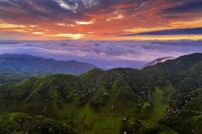 不到雞籠頂，枉為廣東人！原來，中國絕美的高山草原杜鵑花海在這里
