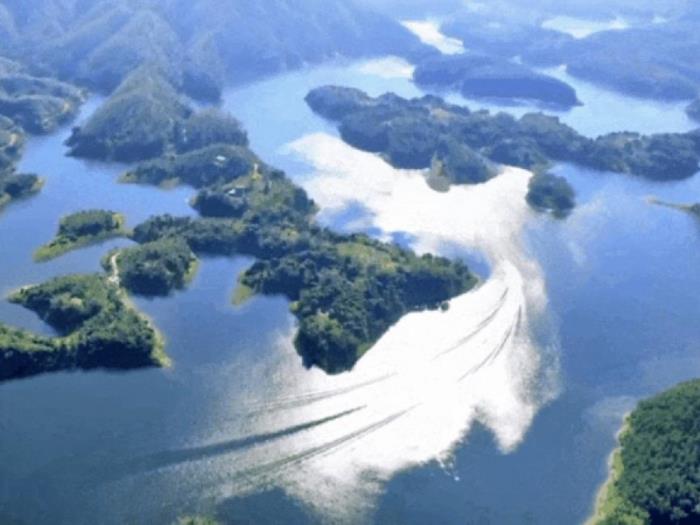 不到雞籠頂，枉為廣東人！原來，中國絕美的高山草原杜鵑花海在這里