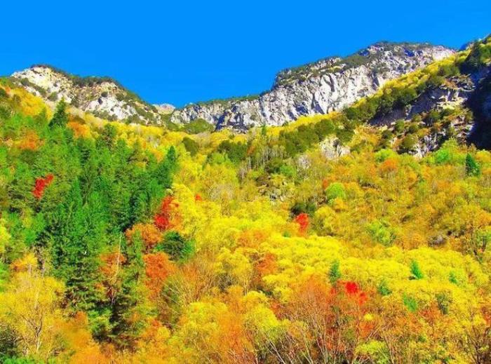 九寨溝僅占1%的美,阿壩州13縣,處處是天堂!