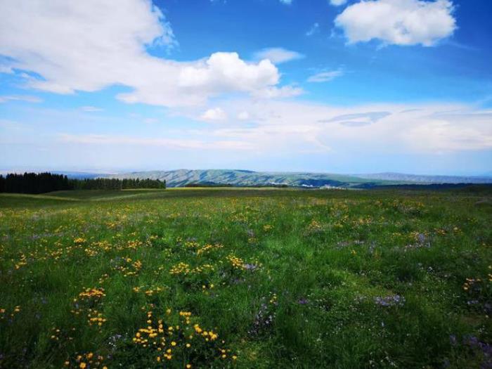 烏魯木齊周邊除了天山天池,還有個地方值得一去,安靜游客少
