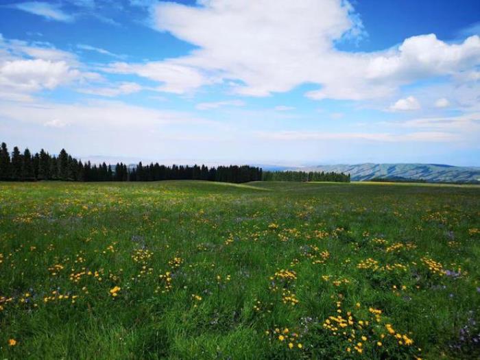 烏魯木齊周邊除了天山天池,還有個地方值得一去,安靜游客少