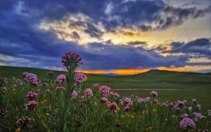 遇見(jiàn)甘南草原、黃河濕地、安多藏族風(fēng)情