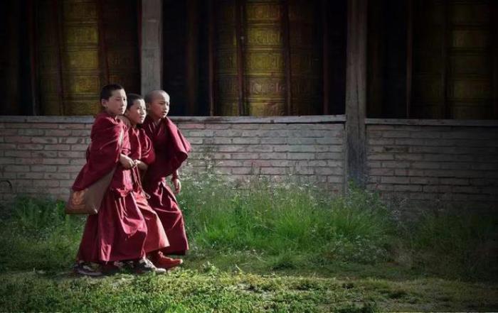 遇見(jiàn)甘南草原、黃河濕地、安多藏族風(fēng)情