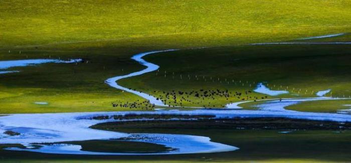 遇見(jiàn)甘南草原、黃河濕地、安多藏族風(fēng)情