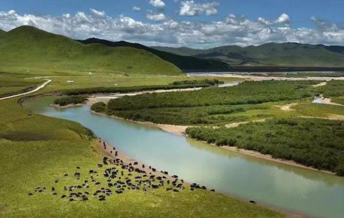 遇見(jiàn)甘南草原、黃河濕地、安多藏族風(fēng)情