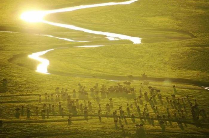 遇見(jiàn)甘南草原、黃河濕地、安多藏族風(fēng)情