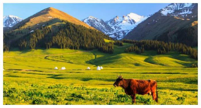 中國8大國家級公園,藏著世界級美景 中國8大國家級公園,藏著世界級美景