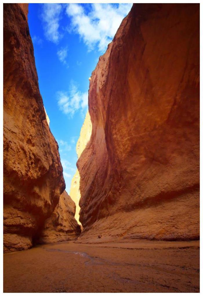 中國8大國家級公園,藏著世界級美景 中國8大國家級公園,藏著世界級美景
