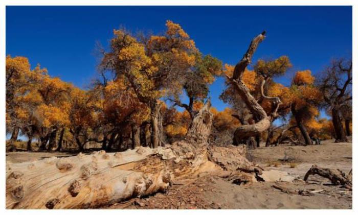 中國8大國家級公園,藏著世界級美景 中國8大國家級公園,藏著世界級美景