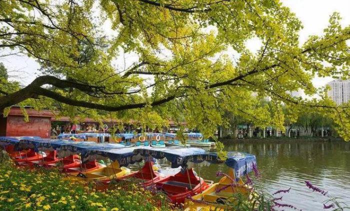 去昆明,邂逅寒冷冬日的春暖花開