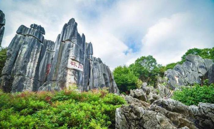 去昆明,邂逅寒冷冬日的春暖花開