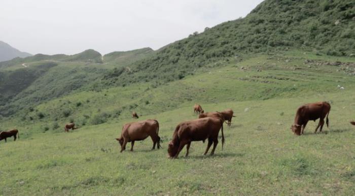 說走就走!西安周邊3個(gè)徒步好去處