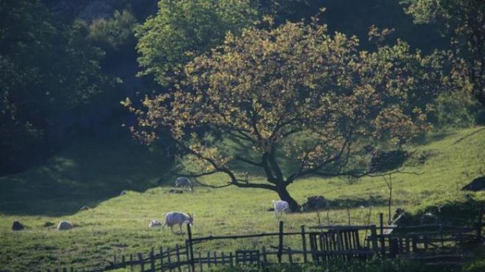 說走就走!西安周邊3個(gè)徒步好去處