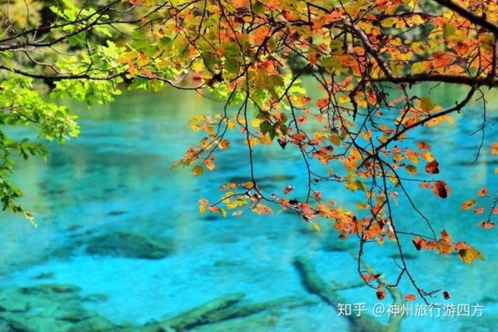 私人導游
才跟閨蜜到四川成都玩了5天,去之前自己也做了一些攻略 私人導游
才跟閨蜜到四川成都玩了5天,去之前自己也做了一些攻略