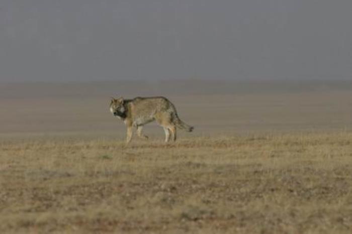 云南小伙自駕西藏11次,總結出10大經驗,值得收藏 云南小伙自駕西藏11次,總結出10大經驗,值得收藏