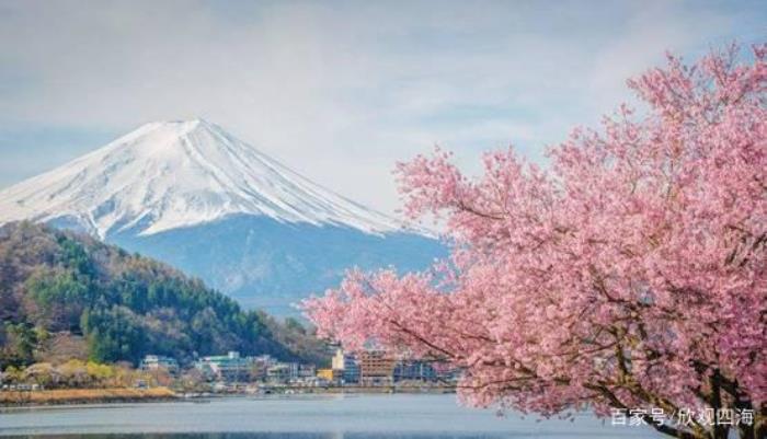 中國小伙在日本大賺特賺,感嘆日本伴游服務質(zhì)量高 中國小伙在日本大賺特賺,感嘆日本伴游服務質(zhì)量高