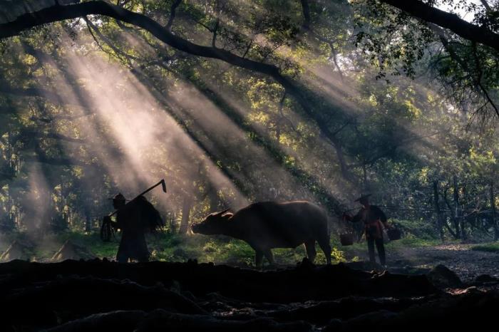 這小城靠“擺拍天堂”火出國外 我卻更愛真實(shí)的它 這小城靠“擺拍天堂”火出國外 我卻更愛真實(shí)的它