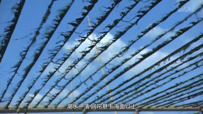 這小城靠“擺拍天堂”火出國外 我卻更愛真實(shí)的它 這小城靠“擺拍天堂”火出國外 我卻更愛真實(shí)的它