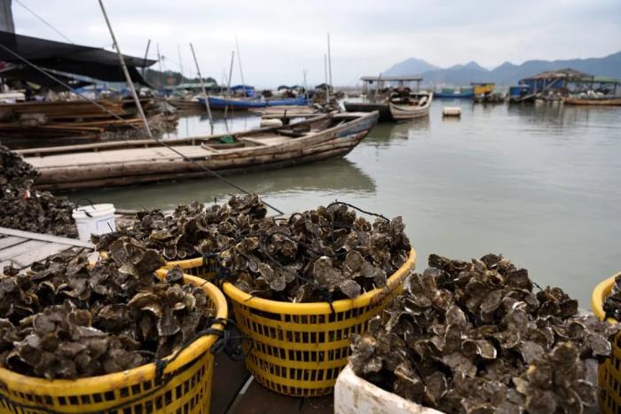 這小城靠“擺拍天堂”火出國外 我卻更愛真實(shí)的它 這小城靠“擺拍天堂”火出國外 我卻更愛真實(shí)的它
