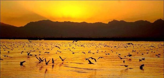 中國這40個地方,去過10個你就是旅行達人! 中國這40個地方,去過10個你就是旅行達人!