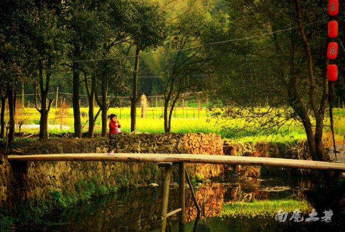 別來找我 我要去婺源掃黃了 別來找我 我要去婺源掃黃了