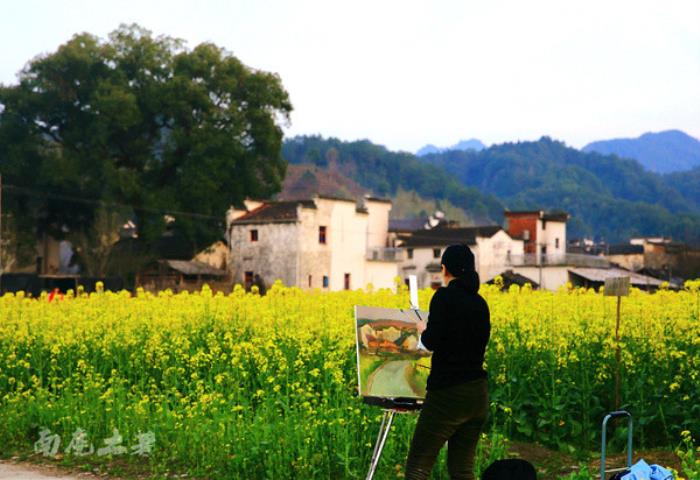 別來找我 我要去婺源掃黃了 別來找我 我要去婺源掃黃了