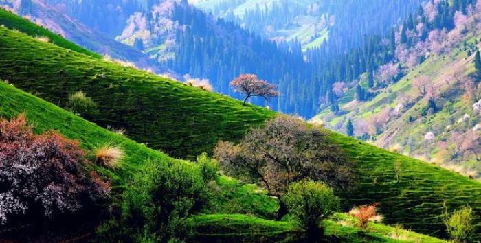 中國這40個地方,去過10個你就是旅行達人! 中國這40個地方,去過10個你就是旅行達人!