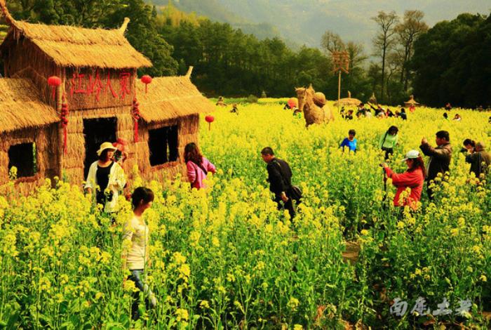 別來找我 我要去婺源掃黃了 別來找我 我要去婺源掃黃了