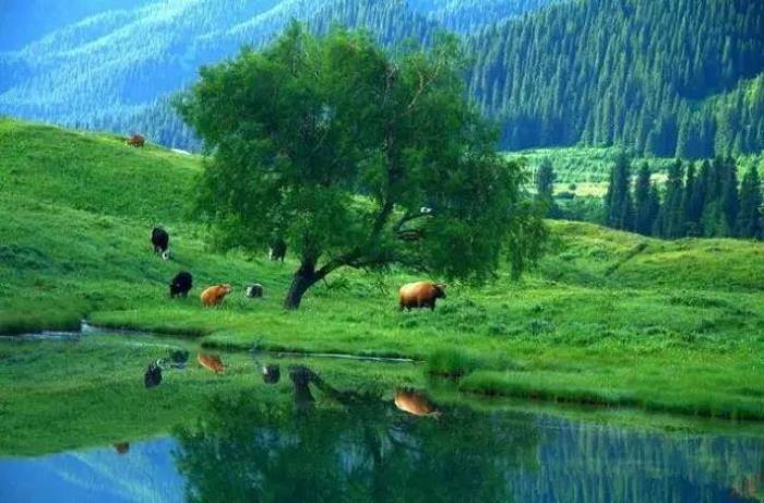 去新疆,看世界的風景 去新疆,看世界的風景