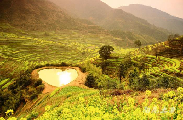 別來找我 我要去婺源掃黃了 別來找我 我要去婺源掃黃了